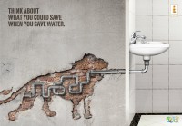 /album/ste/al-ain-zoo-world-water-day-lion-jpg/