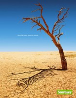/album/ste/environment-protection-tiger-small-11718-jpg/