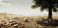 /album/ste/foret-jpg/