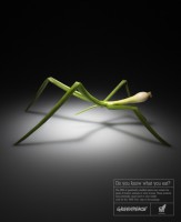 /album/ste/greenpeace-1-jpg/