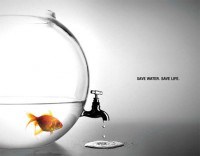 /album/ste/save-water-jpg/