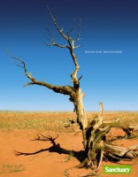 /album/ste/save-the-environment-campaign-deer-small-88032-jpg/